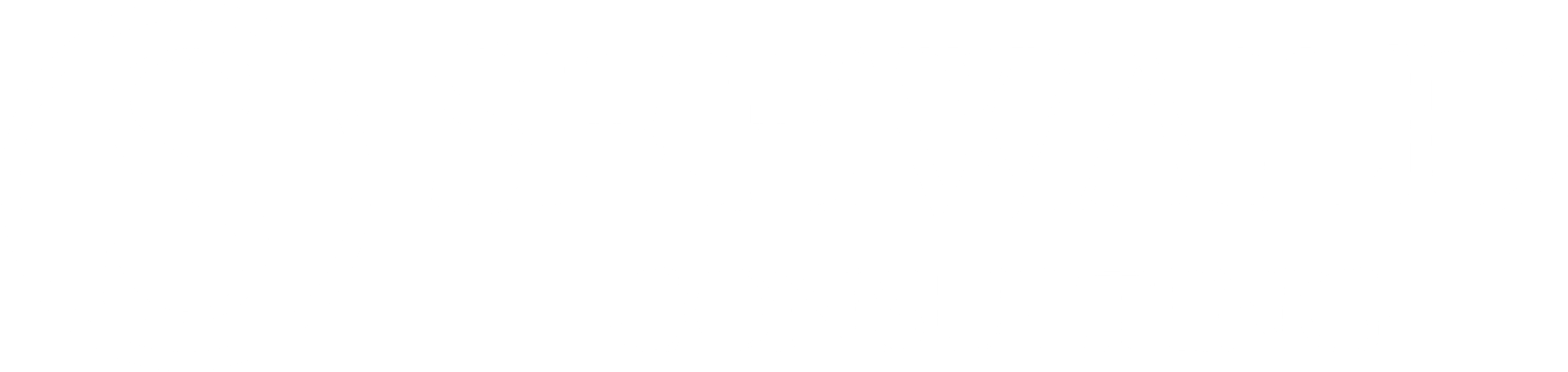 Seewald - Consulting
